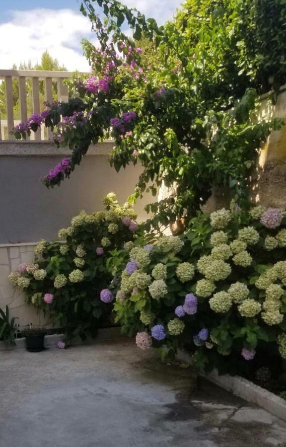 Apartment Ines Omis Bagian luar foto